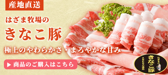宮崎県のブランド豚 はざま牧場のきなこ豚 おいしい豚肉 はざま牧場 通販店